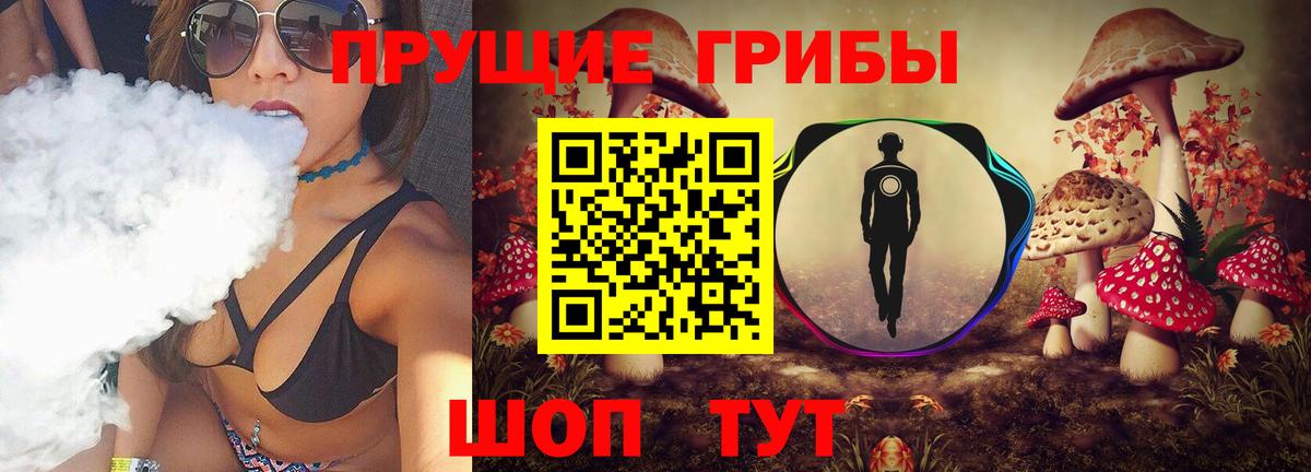 Псилоцибиновые грибы Psilocybine cubensis Губкинский