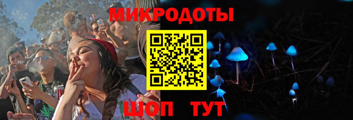 Галлюциногенные грибы Psilocybine cubensis Губкинский