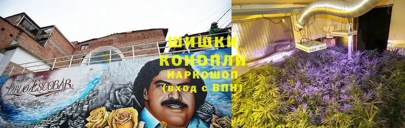 Шишки марихуана Ganja  мега как зайти  Губкинский 